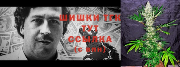 винт Армянск